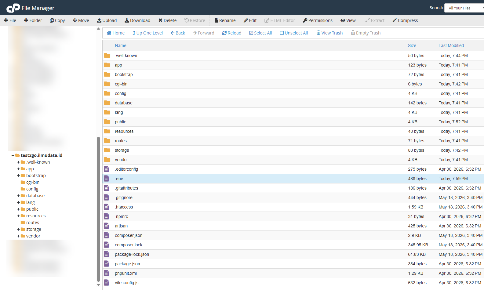 cPanel File Manager